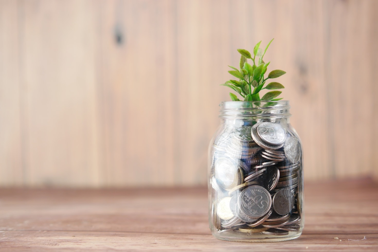 O papel da educação financeira no sucesso dos investidores